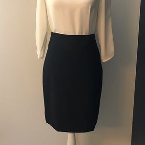 High Waisted Pencil Skirt (whole suit available)